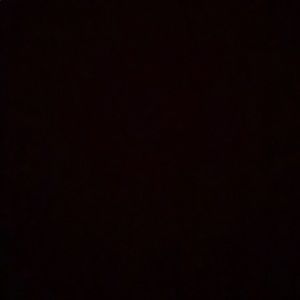 Meet your Posher, Amelia